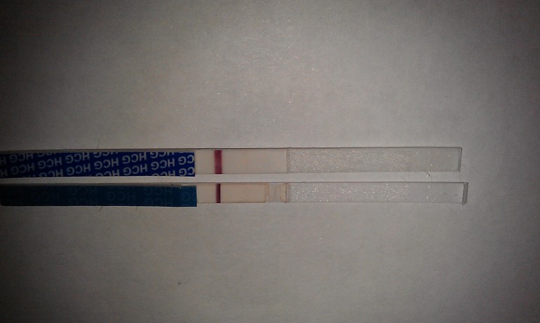 06b4abcd71f8c6c7432b334e6bc8a388.jpg