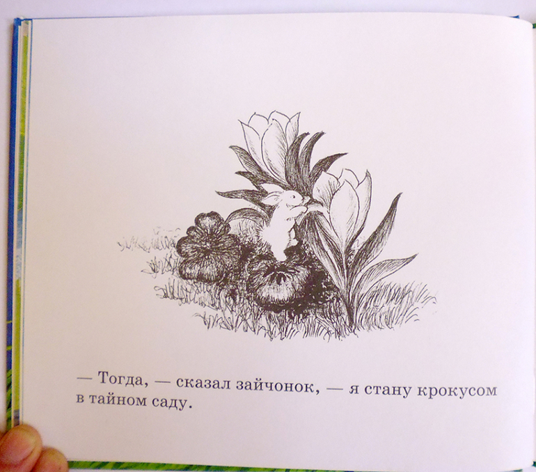Все о кролике Питере и другие наши зайцы-иностранцы