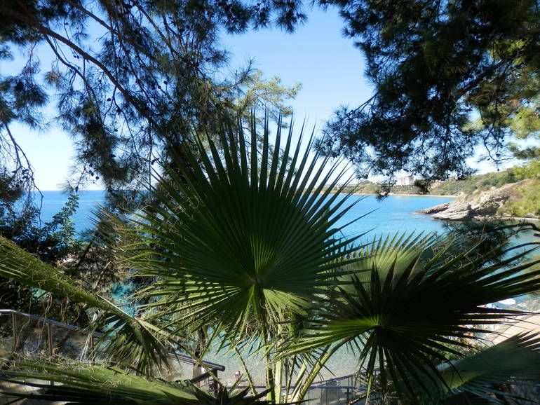 c5d591c7345c7b548371a518620491ca.jpg