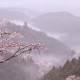 Арина Васильевна