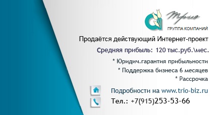 Продаётся действующий Интернет-проект