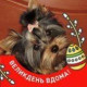 Ириска