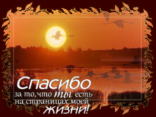 Огромное спасибо!