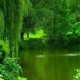 Ренат Джамалдинов