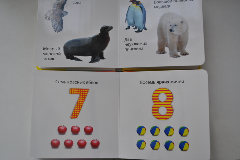fe3a0246a30d6752acd21161cca0ff8f.jpg