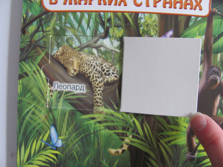 Животные -любимая книжка с окошками, НЕ АРКЕБУС))