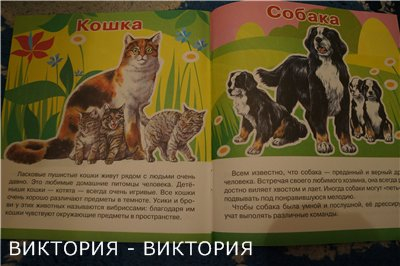 Мини-энциклопедии 2