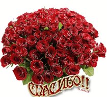 Хочу сказать большое спасибо!