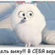Галина