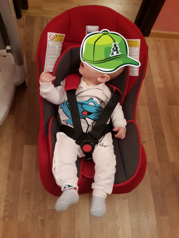Inglesina Moovy