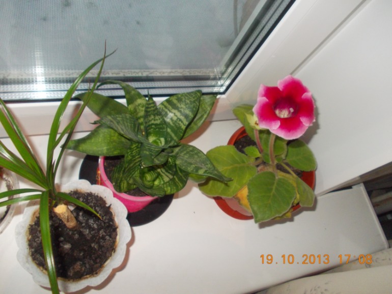03bb09d900a6dbbe412c25c9d7cc8949.jpg
