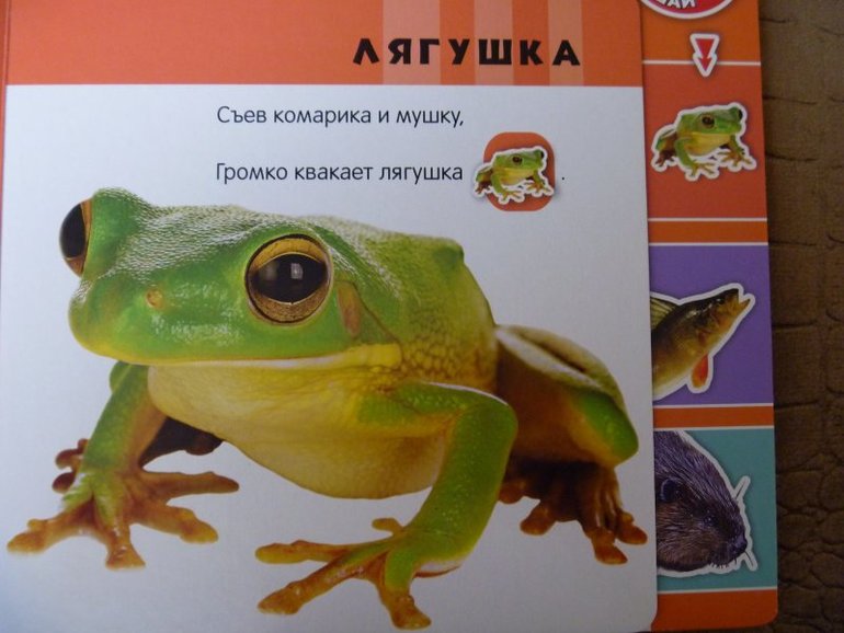 Шок цена на серию книг от издательства Азбукварик