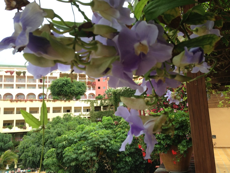 Тенерифе отель Jacaranda ****