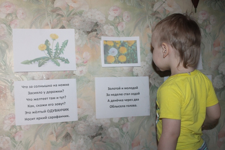 ТЗ