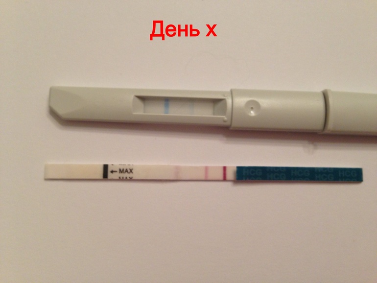 День х или 16 дпо ...