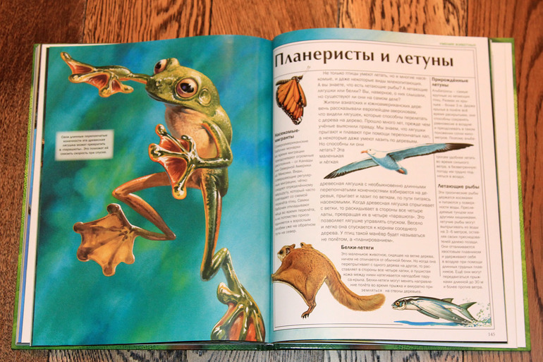 Атлас животных.