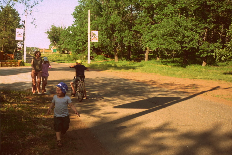 Сосновый бор.