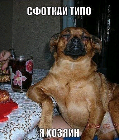хозяин
