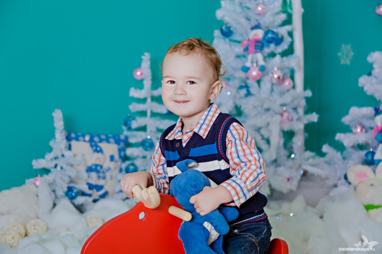 Новогодний фотопроект 2014