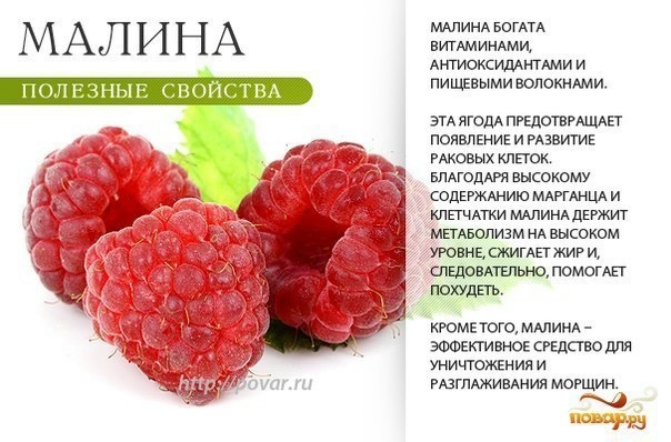 ВКУСНО И ПОЛЕЗНО