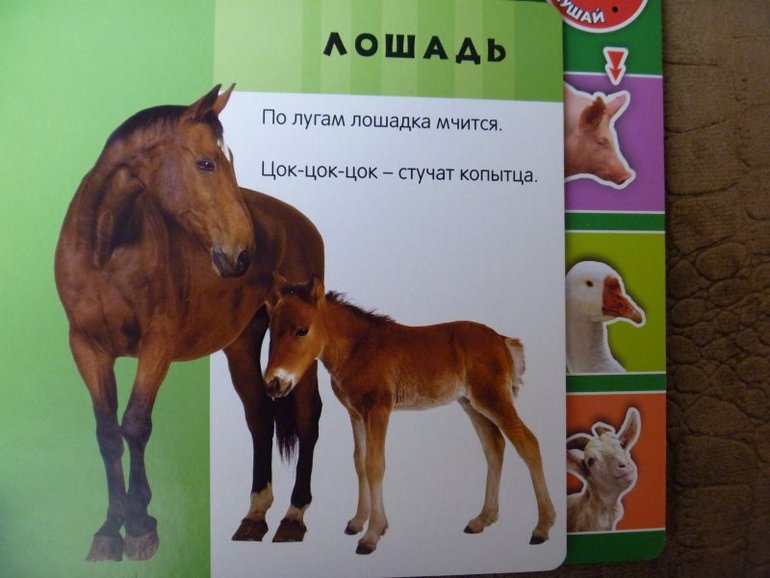 Шок цена на серию книг от издательства Азбукварик