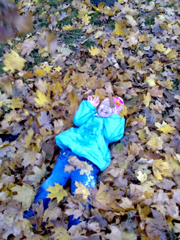 909d5bcf6020c33c2cfda091ee306713.jpg