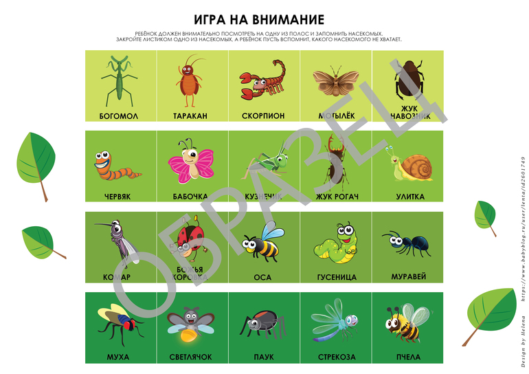 игра на внимание для детей 3,4,5 лет насекомые