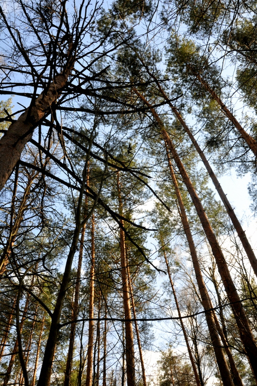 Предпасхальное настроение - фоторепортаж...