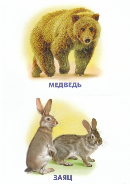 ТН "В осенним лесу"