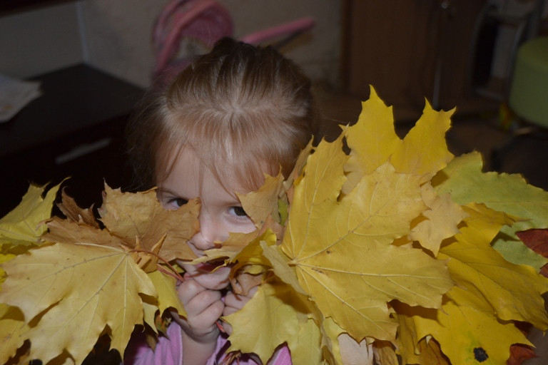 65119f992849fe131e788ced79a971f6.jpg