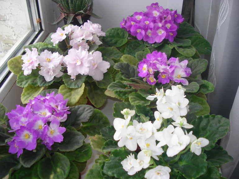 Как и обещала))