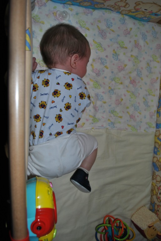 5 месяцев)))))))))))))))))))))))))))))))))))))))