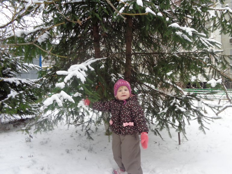 День 1 ФМ
