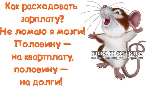 Картинки