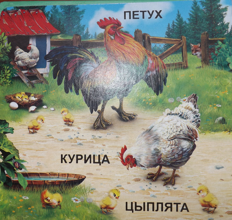наш отчет ТЗ