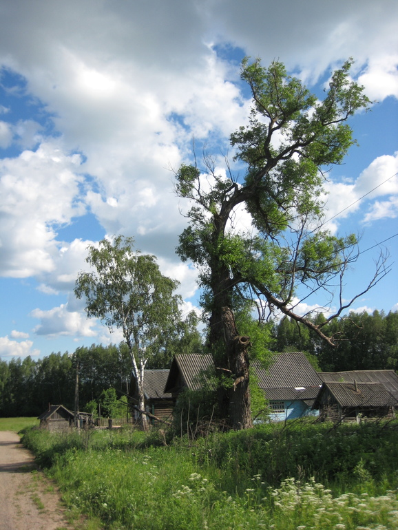Деревня городскими глазами.