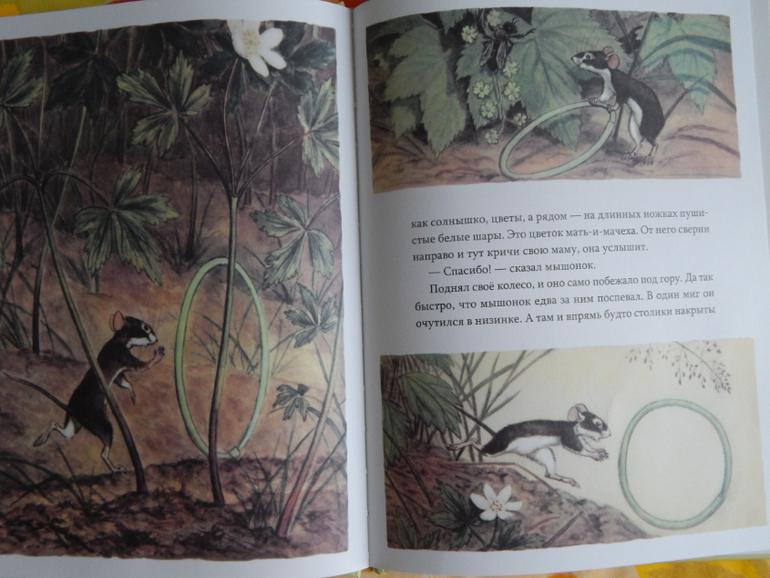 Книги (май).