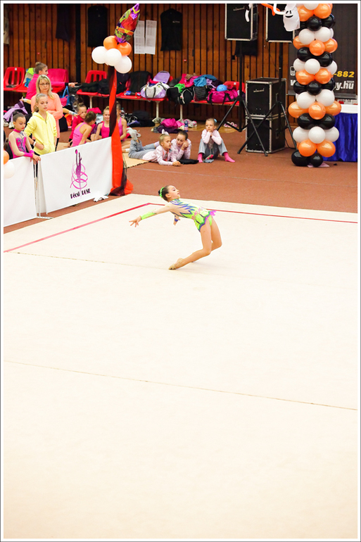 V. Pécs Cup 2013