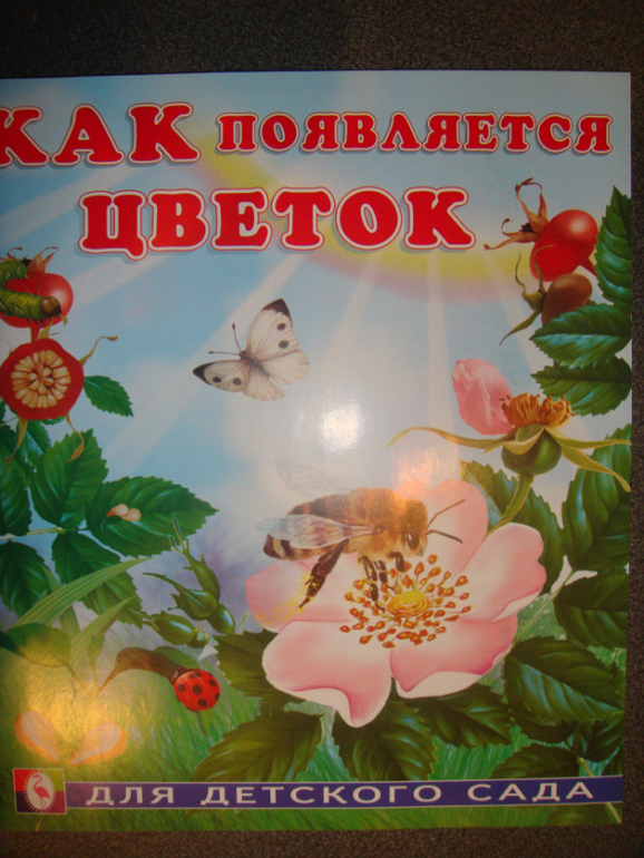 d38e032e09381265f1bed272319a37c8.jpg
