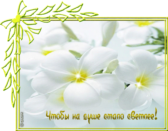 ec3e88308efdfed1804c223fbe849f41.gif