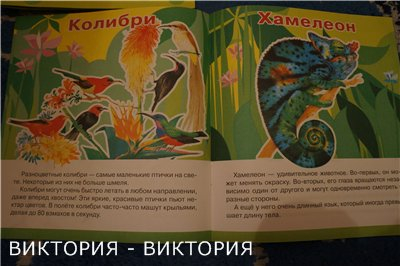 Мини-энциклопедии 2