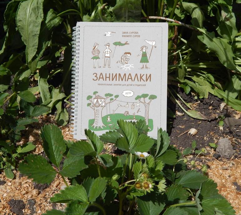 Занималки.Лето