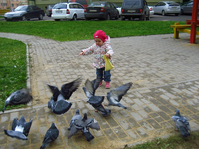 ТД