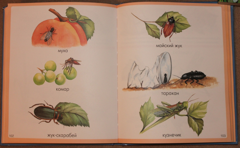 Наши