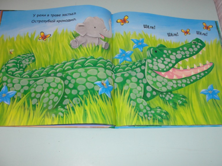 Книжный хваст