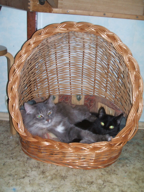 Большое спасибо за котолежанку!