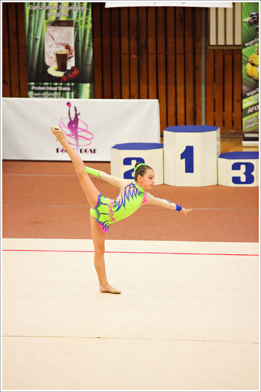 V. Pécs Cup 2013
