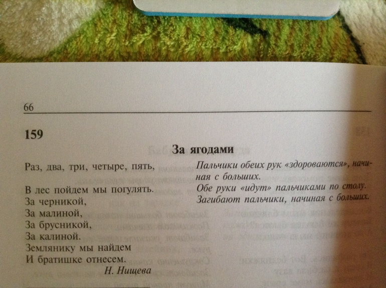 Овощи. Фрукты. Ягоды.