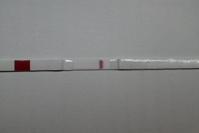 e8555d859c6d3a9f2efff011c422fe5b.jpg