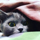 Lilu